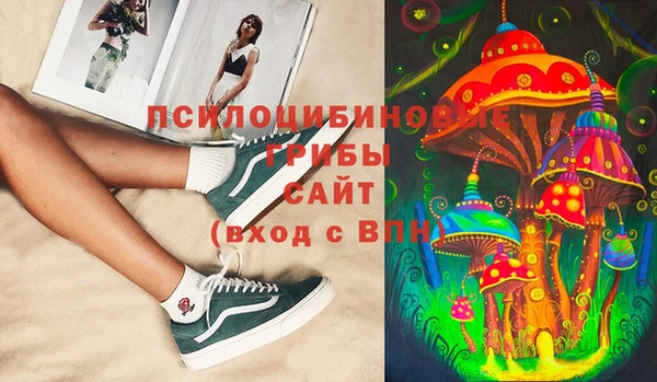 СК Гусев