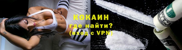 СК Гусев