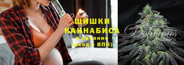 молекула духа Гусь-Хрустальный