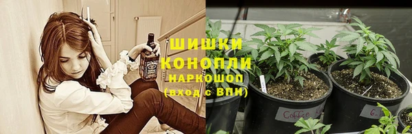 молекула духа Гусь-Хрустальный