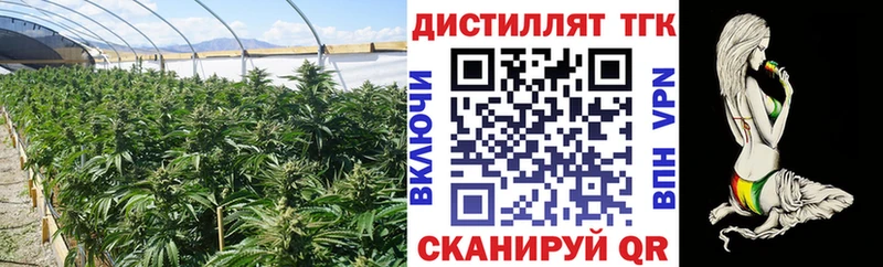 Купить где  Урюпинск  ТГК Wax 